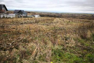 Teren de 5000 mp, în Central - 2