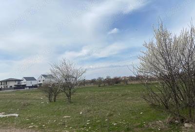 Teren de 937 mp, în Tamași