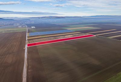 Teren intravilan pretabil industri, logistica sau parc fotovoltaic - 2