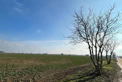 Teren de 500 mp, în Giroc - 3