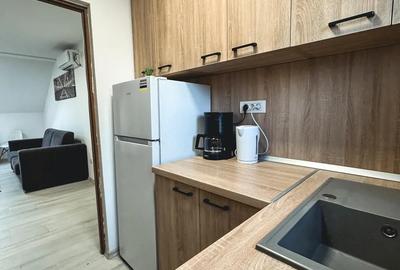 Ofer spre inchiriere STUDIO Modern si Primitor - 8