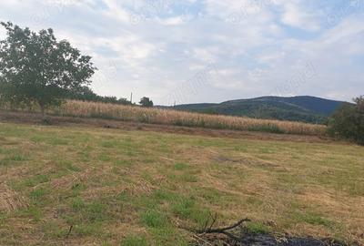 Teren de 2200 mp, în Mâsca - 3