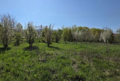 Spațiu comercial, în Mâsca - 3