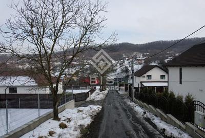 Teren Investitie Valea Jelnii - 8