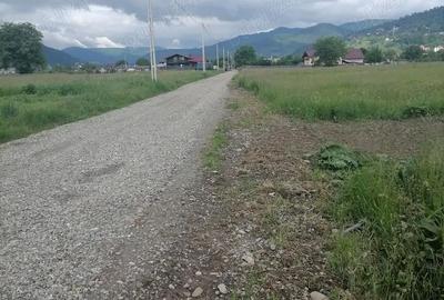 Teren de 3000 mp, în Central - 6