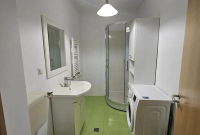 Proprietar inchiriez apartament 1 camera Dumbravita - 6