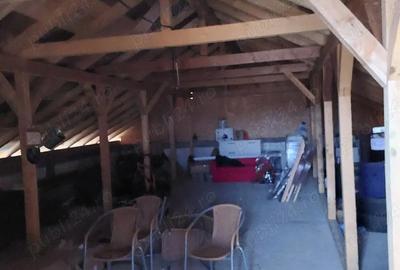 Casă în Șimian - 4