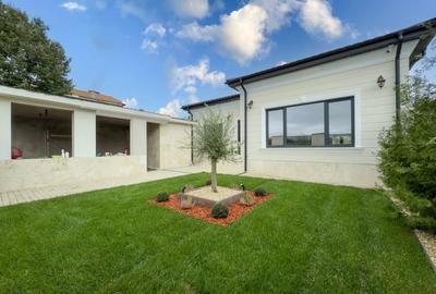 Casa deosebita 4 camere, cu piscina si crama - 12