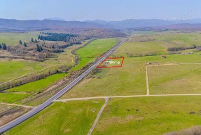 Teren de 7786 mp, în Vlădeni - 5