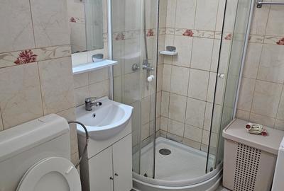 Garsonieră semidecomandată, mobilată în Drumul Taberei - 17