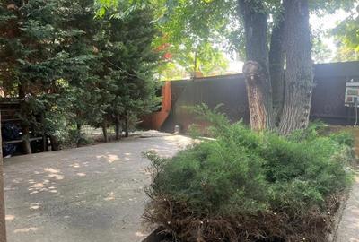 ANDRONACHE | Vila 4 Camere | Garaj | Curte Verde | Ciubar & BBQ - 3