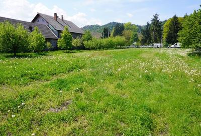 Teren Construcții intravilan de 4076 mp, în Sarasău - 12