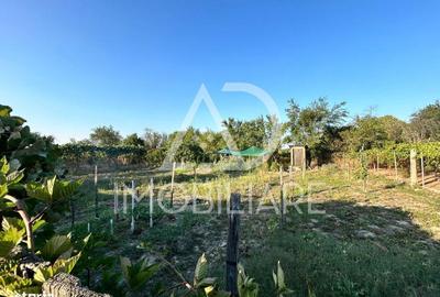 Casă cu 2 camere cu Teren 1045 Mp în Drăguțești - 14