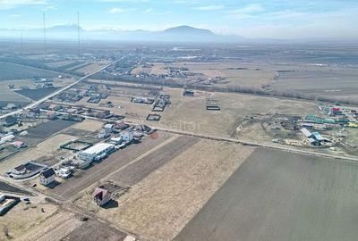 Teren Extravilan, P.U.Z. inceput - 8