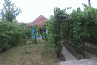 Casă cu 2 camere în Girocului - 1