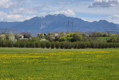Teren Construcții intravilan de 10864 mp, în Bran - 10