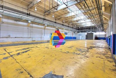 Spatiu industrial - 1800 mp  # plus-imo.ro - 6