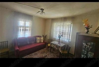 Casă cu 3 camere cu Teren 2084 Mp în Ighiu - 4