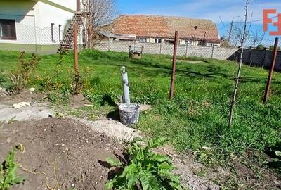Casă individuală cu 4 camere cu Teren 1000 Mp în Dudeștii Noi - 2