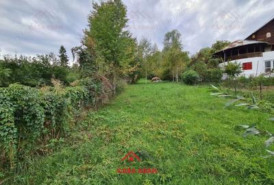 Casă cu Teren 3676 Mp în Poiana - 15