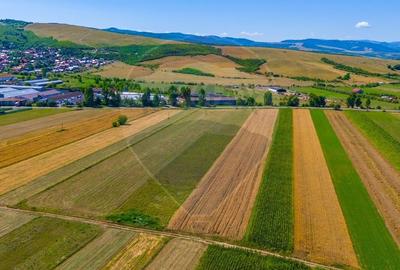 Teren agricol extravilan de 7000 mp, în Teliu - 8