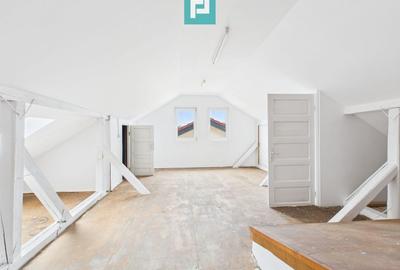 Vilă cu 5 camere pentru investiții în Dumbrăvița - 19