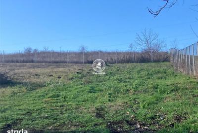 Teren de 2500 mp, în Miroslava - 1