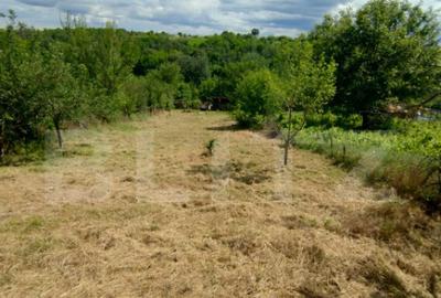 Casa renovata Varvoru de Sus, 30 mpu, 1000 mp curte. - 9