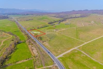 Teren 7786 mp/Curți construcții/Benzinărie - 5