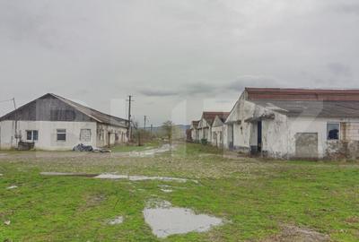 Ferma zootehnica de vanzare in ?ieu Odorhei, intravilan, - 7