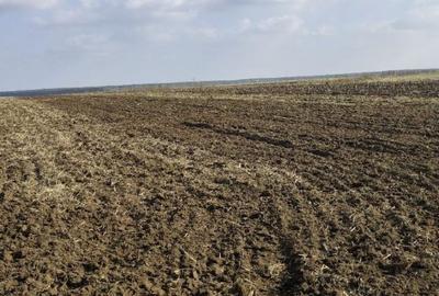 Teren de 3000 mp, în Vârvor - 1