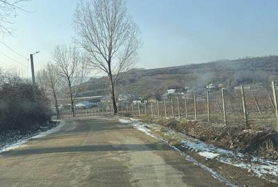 Spațiu comercial, în Central - 1