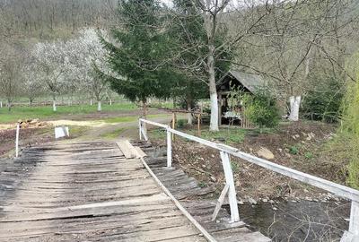 Teren de 14000 mp, în Gurahonț - 9