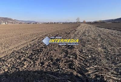 Teren Construcții intravilan de 600 mp, în Șard - 3