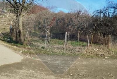 Teren agricol intravilan de 1736 mp, în Chițești - 3