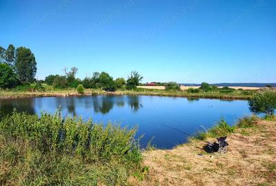 Teren de 18247 mp, în Mișca - 5