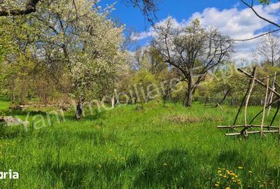 Teren de 2253 mp, în Cepari - 5