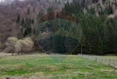 Teren Construcții intravilan de 3880 mp, în Rucăr - 9