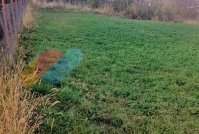 Teren intravilan 1.000 mp in Borhanci, ideal pentru casa, cu drum de servitute - 2