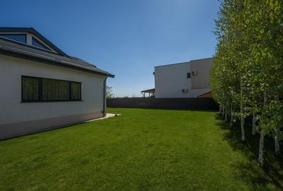 Casa cu Mesteceni!  Complex Lalelelor Domnești - 20