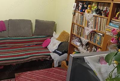 Gazda intr-un apartament cu 4 camere - 1