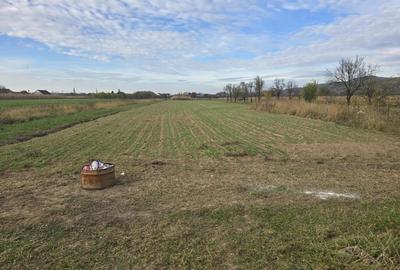 Casă cu 4 camere în Central - 1