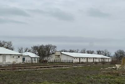 Spațiu industrial, în Ceamurlia de Jos - 7