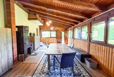 Duplex Zona Linistita Carpinis - 3