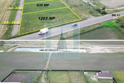 Teren extravilan de vanzare in Harman - 4