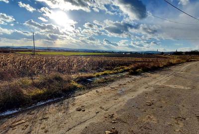 Teren de 750 mp, în Cuzdrioara - 8