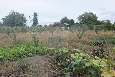 Casă individuală cu 4 camere cu Teren 6110 Mp în Girov - 49