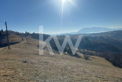 Teren 16469 mp extravilan arabil  Poiana Marului zona Vulcanita - 3