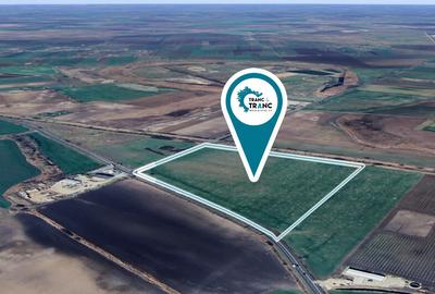 Teren cu front stradal de 432 m la E68 la 3 km de autostrada - 3