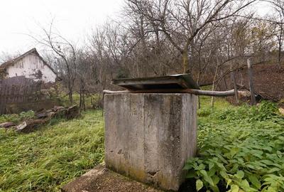 RECO Casa de vacanta la Holod- langa padure- teren 2190mp - 21